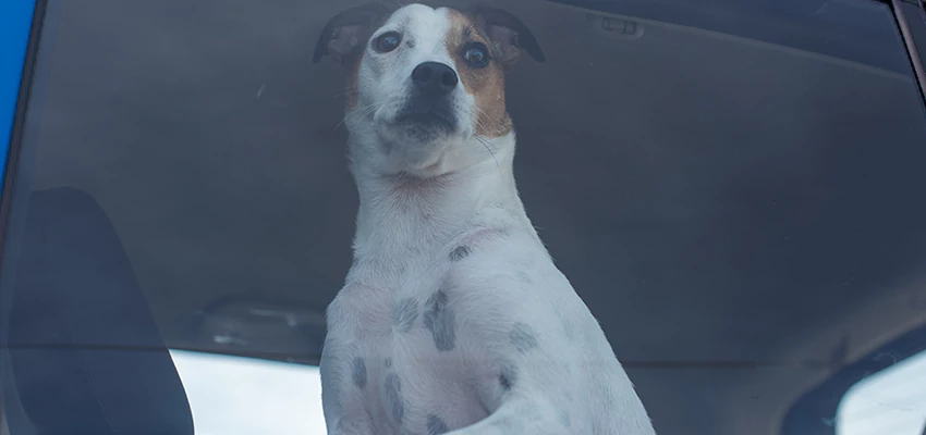 Car Lockout Solutions in Burlingame, California